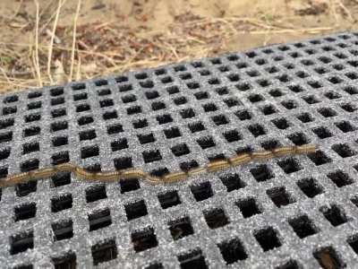 The Centipillar; 1 isnt strong enough? a 100 can take a country