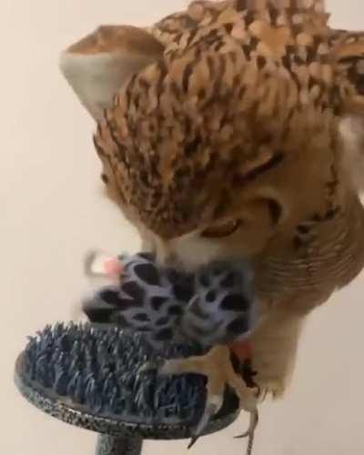 His Reaction🤫 Don't touch my Doll. Leave me alone. 😠 😊😊