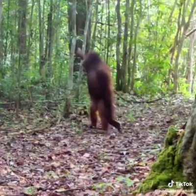 dando um role pelo parque 