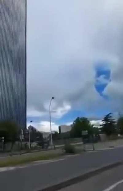 It is said that stray dogs cannot be found in Paris