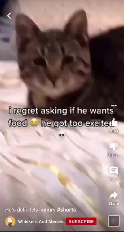 im not sure, but i think its hungry