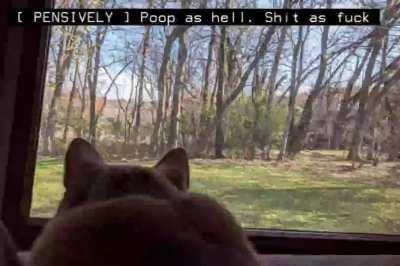 [ quietly ] fork in micowae