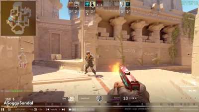 Average CS Experience