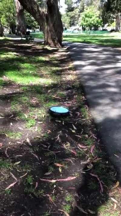 A rare sighting of a roomba in wild (panhandle)