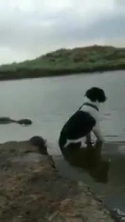 Latin american nature just being latin american nature 