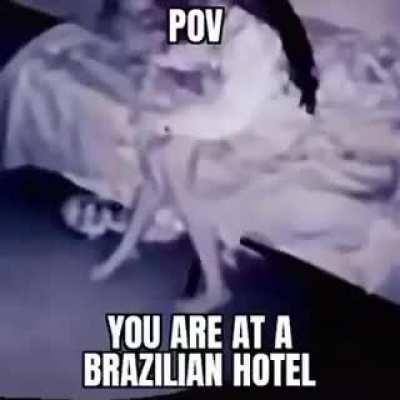 B̸̧̤͕̪͓͈̻̲̙̳̥̥̦͚̝̉̊̿̀̽̃͌͊̉̓͘͝͝r̵̼̂̅͐̔̍̓̆̾̆̉̉̄ä̸̧͖͇̱͓͓̹̼̭͎̳̟̟͓̰̾́̓̈́̏͑́͋z̶͍̣̖͎̱̯̺͚͓̱̝̎̾̓͑̃̉͝ͅi̷̢̜̗̲͉͋͌̆̆̈̓͐́͘l̴͎̬̠̹͎͍̜̮̒̈̆̄͗̇͊̃̂͆̓̕̕͠͝