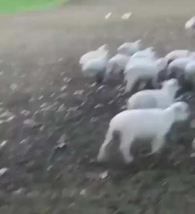 Did you take the picture? Do I look good