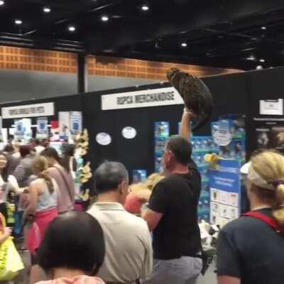 A member of the Internet's ruling class greets her loyal subjects