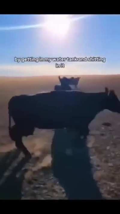 Reupload for those who keep DM’ing me