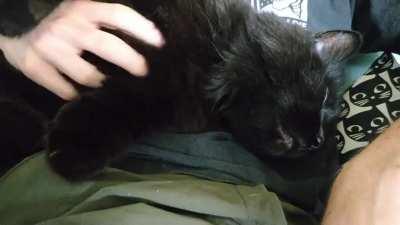 My little mouthbreather