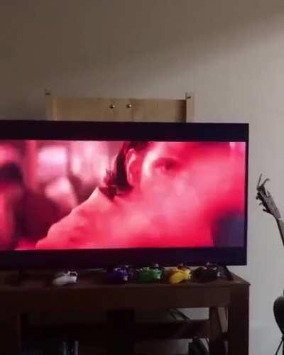 Can I touch your nose?