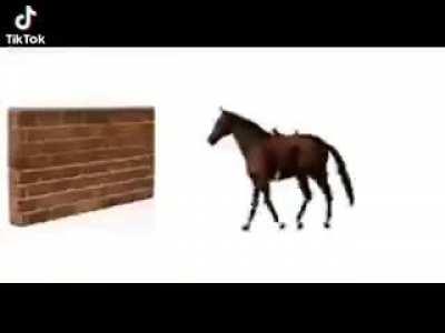 morazrt mya favrit kalsik musaq