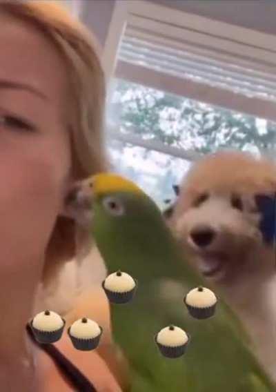 Enzo being jealous..