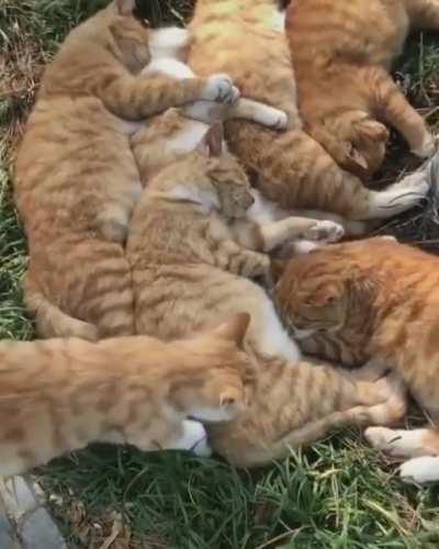 Best thing I've seen all day