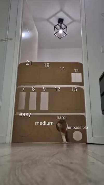 They are such a cheater