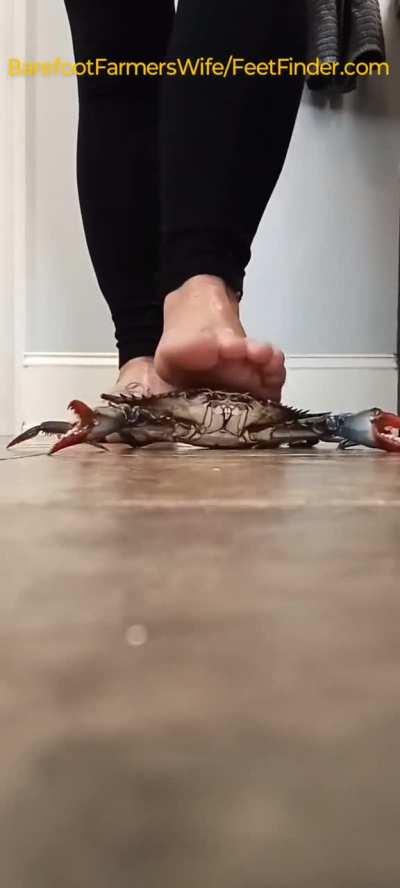 Barefoot Crab Crush