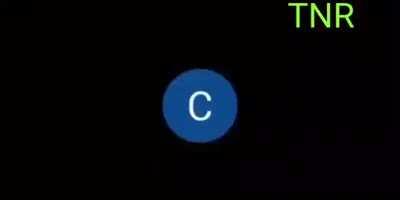 Teacher fully explodes on her zoom class.