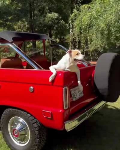 Photoshoot with her dog Tank 8/14/2024