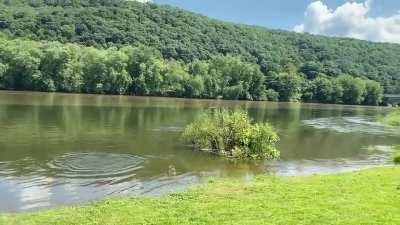 without naming the show, what's the one quote that gives it away?