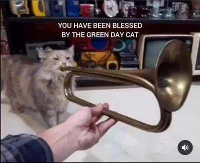 It's the Green Day CAT
