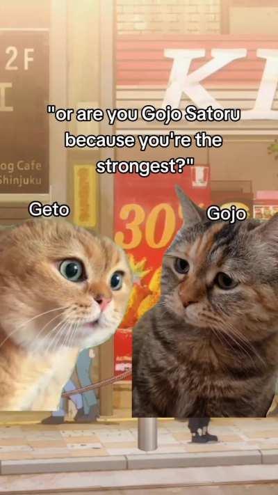 The only friend i had