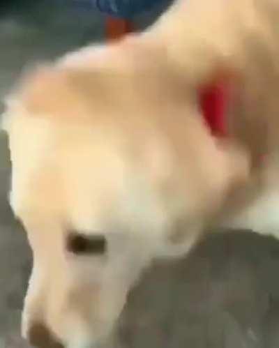 Clap along, If you feel like that’s what you wanna do...