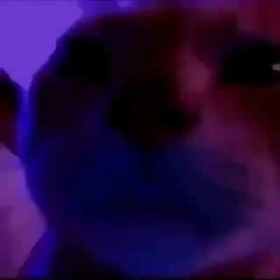 Students on the campus be like