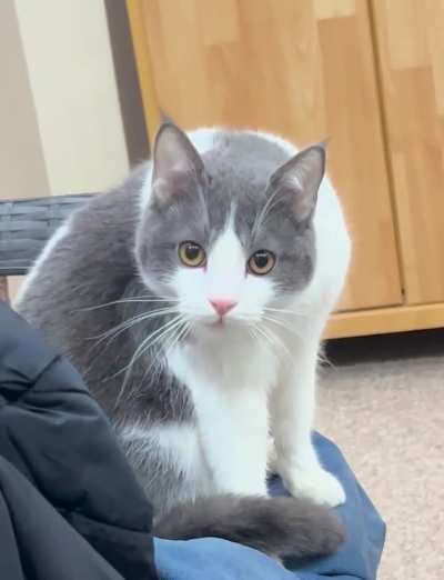 He definitely hate me