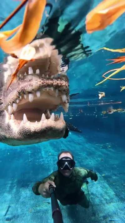 Dangerously boopable