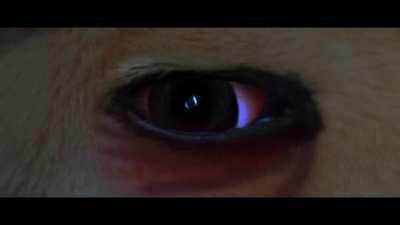 Le Sadness has arrived