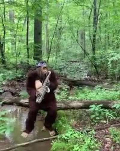 Un albañil peruano talentoso 😳😳 ojalá le vaya bien al pana y cumpla su sueño de ser músico profesional 😔😎🤙