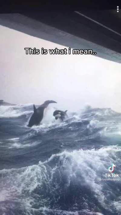 Pretty accurate description of the fear for me