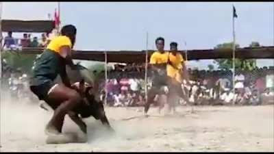 Bull Rips Open Guy's Leg During Sport