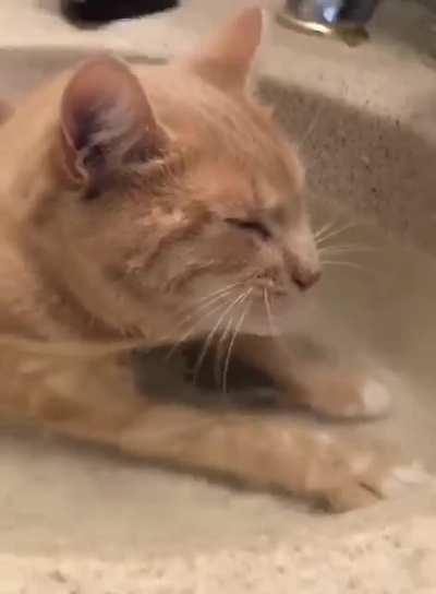 all ingenious is simple