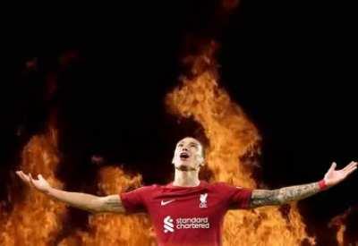 All hail our agent of chaos