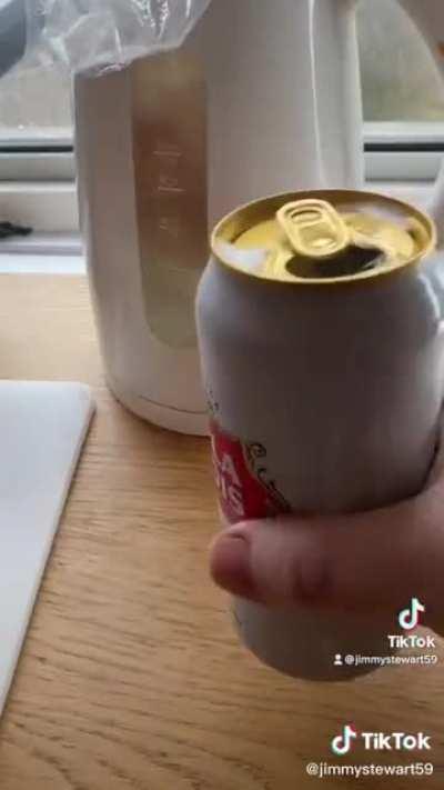 Cooking a pigeon with a hair curler and a pringles can