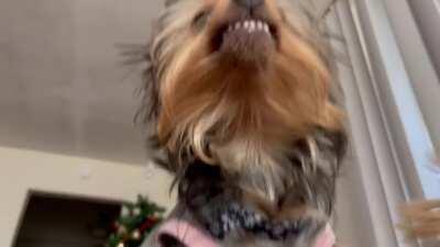 She smiles when she’s happy.