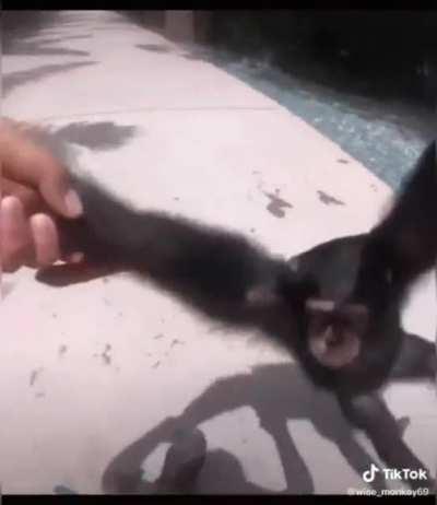 AaaaaaaaaaaaaaaAaAAAAAAAAAAAA