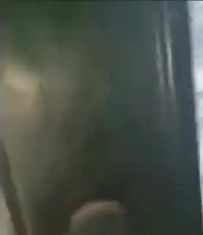 peetah.. the horse is here