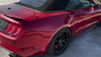 Abandoned Super Snake…WTF?