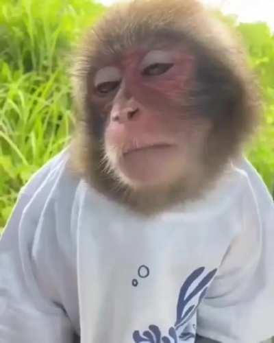 MUCA OUVINDO POZE E LEMBRANDO DA ÉPOCA QUE NÃO TINHA NAMORADO E VIVIA EM FESTAS CLANDESTINAS REGADAS A ARMAS E DROGAS