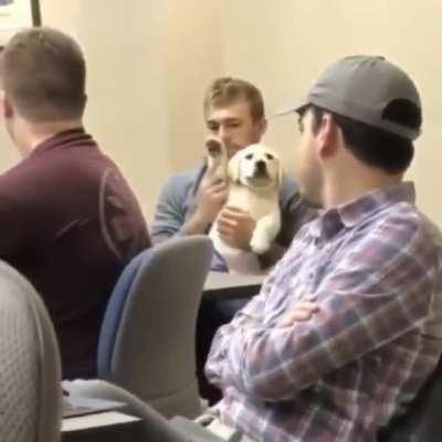 Best way to brighten up any meeting