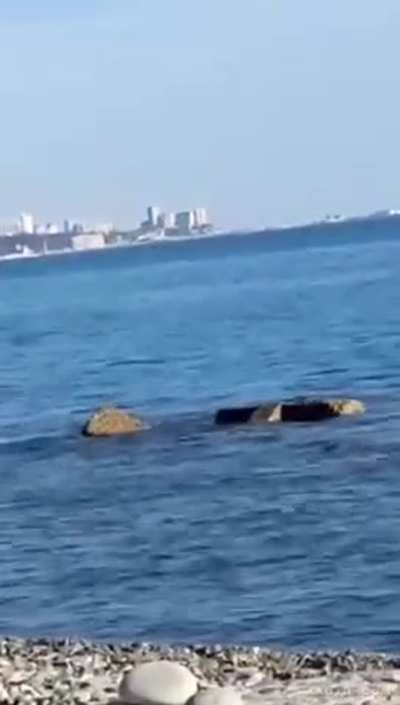 Banging On The Beach😎🌞