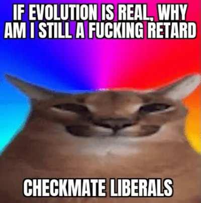 libs debunked