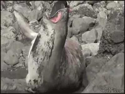 Excuse me, coming though