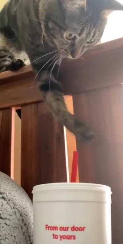 She has a weird obsession with straws :/