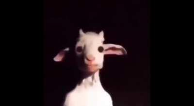 .... ø·ø ̈ùšù„ø© ... ø£øoù†ùšø© ù„ù„ø£ø·ù ø§ù„ ... ù„ùšø ̈ùšø§ Yes that is what the video is called