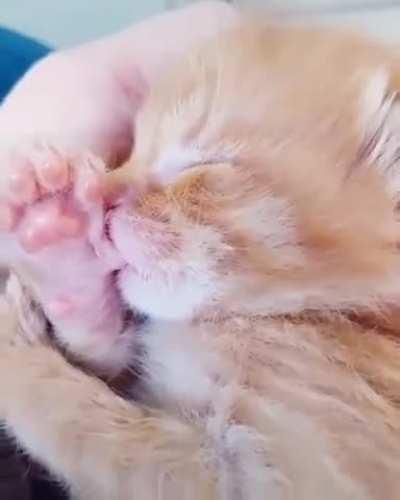 In a sweet and gentle dream