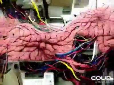 Biomechanical AI nightmare