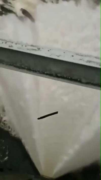 Растворилось